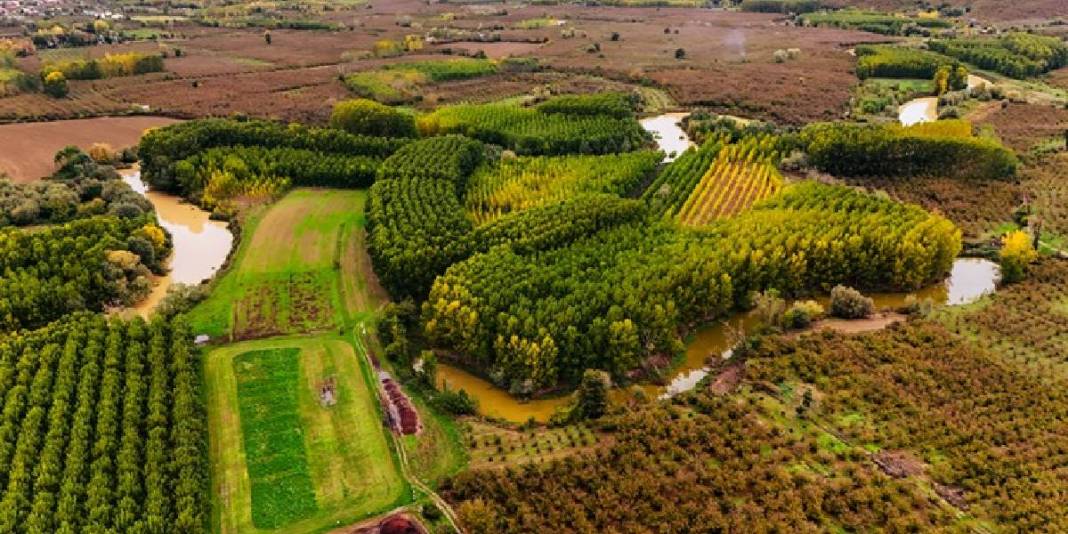 Doğa tutkunları için şimdi tam zamanı! Sarı ve kızıl yapraklar, nilüferler, kuşlar… Burası hikayelerden fırlamış gibi 2